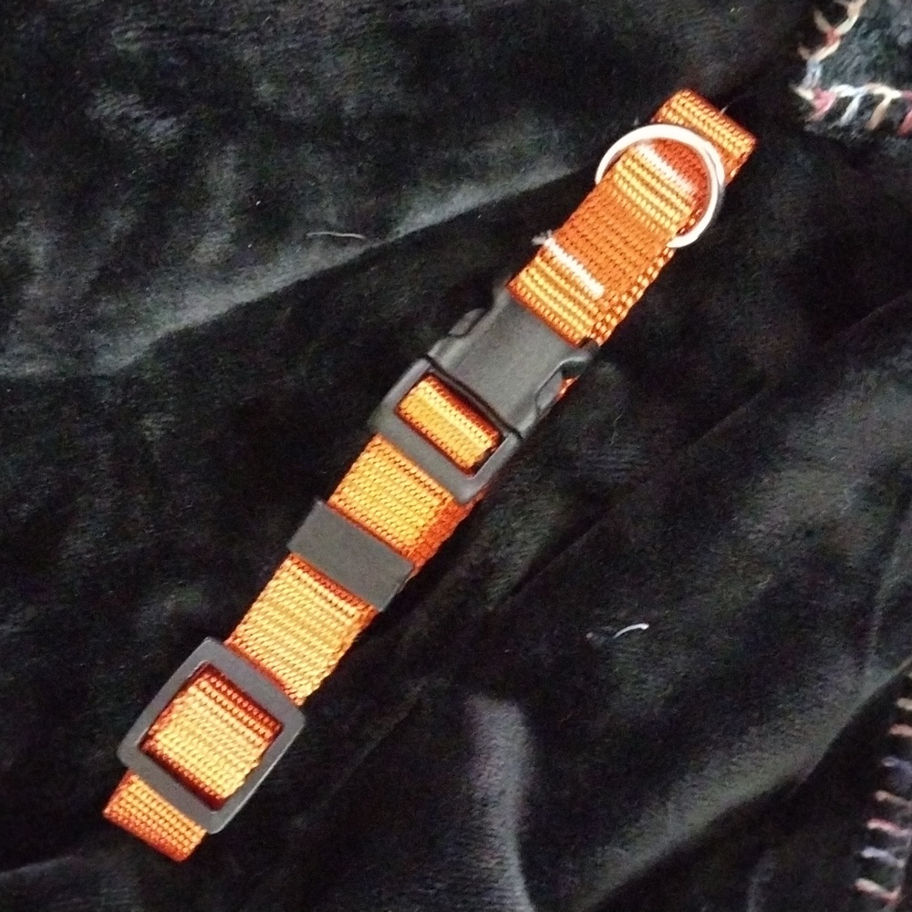 Dog collar, orange nylon, washable, various sizes